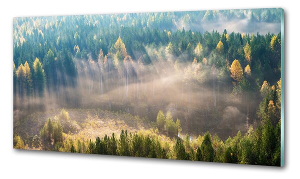 Dekorační panel sklo Mlha v lese pksh-104886541
