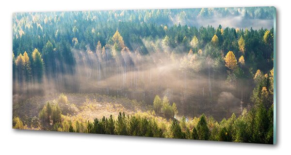 Dekorační panel sklo Mlha v lese pksh-104886541