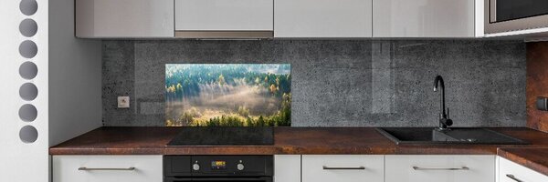 Dekorační panel sklo Mlha v lese pksh-104886541