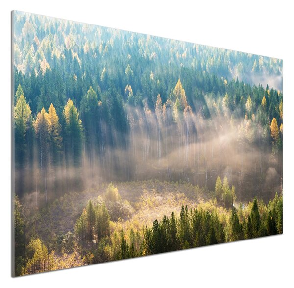 Dekorační panel sklo Mlha v lese pksh-104886541