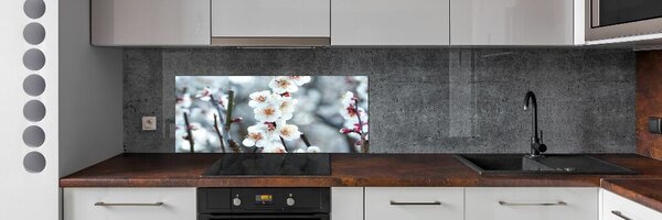 Dekorační panel sklo Květy višně pksh-104952401