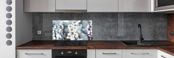 Dekorační panel sklo Květy višně pksh-104952401