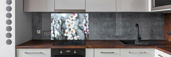 Dekorační panel sklo Květy višně pksh-104952401