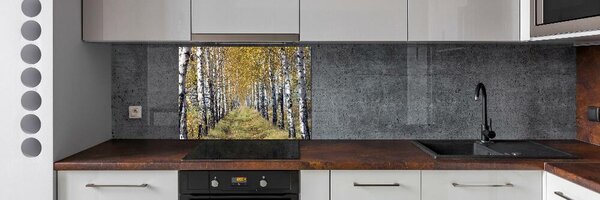 Panel do kuchyně Břízy podzím pksh-105179971