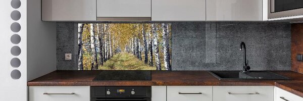 Panel do kuchyně Břízy podzím pksh-105179971