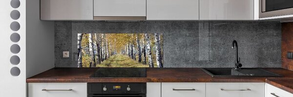 Panel do kuchyně Břízy podzím pksh-105179971