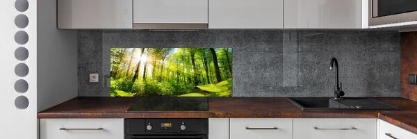 Dekorační panel sklo Les slunce pksh-105833930