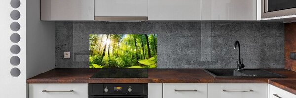 Dekorační panel sklo Les slunce pksh-105833930