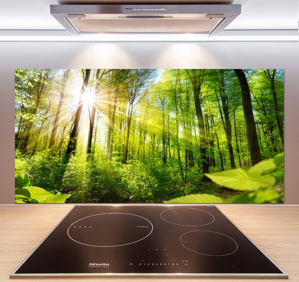 Dekorační panel sklo Les slunce pksh-105833930
