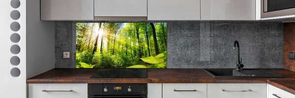 Dekorační panel sklo Les slunce pksh-105833930