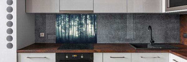 Dekorační panel sklo Les v mlze pksh-106280644
