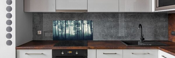 Dekorační panel sklo Les v mlze pksh-106280644