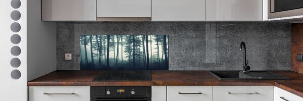 Dekorační panel sklo Les v mlze pksh-106280644
