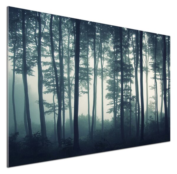 Dekorační panel sklo Les v mlze pksh-106280644