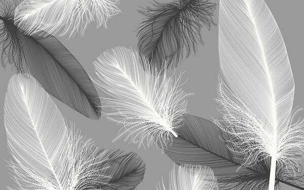Fototapeta Jemné peří v měkké jednobarevné barvě, 3D fototapety, Populární fototapety, u04919 - Tapeko.co.cz