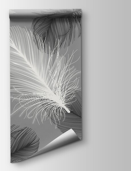 Fototapeta Jemné peří v měkké jednobarevné barvě, 3D fototapety, Populární fototapety, u04919 - Tapeko.co.cz
