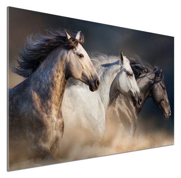 Skleněný panel do kuchyně Koně ve cvalu pksh-106659074