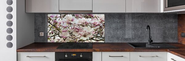 Panel do kuchyně Květiny magnolie pksh-107287859