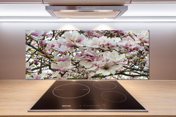Panel do kuchyně Květiny magnolie pksh-107287859