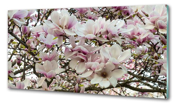Panel do kuchyně Květiny magnolie pksh-107287859