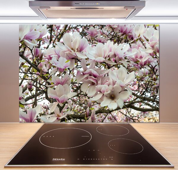 Panel do kuchyně Květiny magnolie pksh-107287859