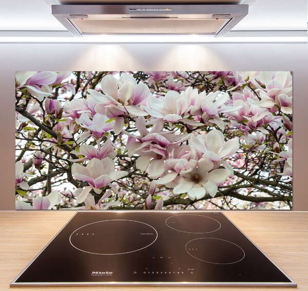 Panel do kuchyně Květiny magnolie pksh-107287859