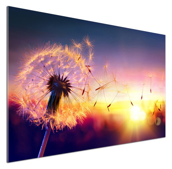 Dekorační panel sklo Pampeliška pksh-107327055