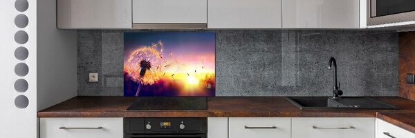 Dekorační panel sklo Pampeliška pksh-107327055