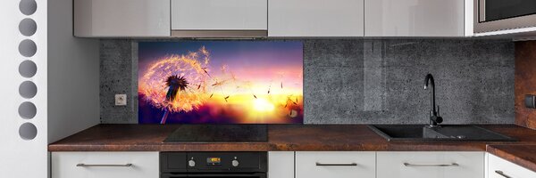 Dekorační panel sklo Pampeliška pksh-107327055