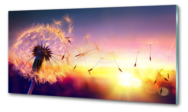 Dekorační panel sklo Pampeliška pksh-107327055