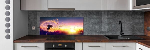 Dekorační panel sklo Pampeliška pksh-107327055