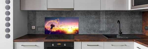 Dekorační panel sklo Pampeliška pksh-107327055