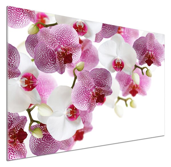 Skleněný panel do kuchynské linky Orchidej pksh-107506962
