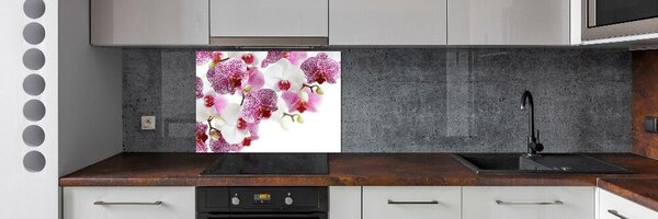 Skleněný panel do kuchynské linky Orchidej pksh-107506962