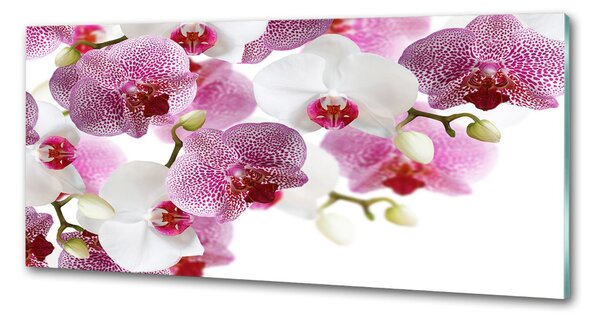 Skleněný panel do kuchynské linky Orchidej pksh-107506962