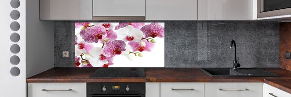 Skleněný panel do kuchynské linky Orchidej pksh-107506962