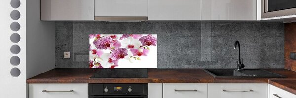 Skleněný panel do kuchynské linky Orchidej pksh-107506962