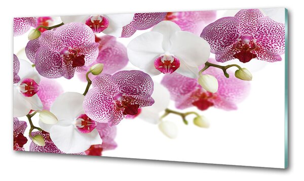 Skleněný panel do kuchynské linky Orchidej pksh-107506962