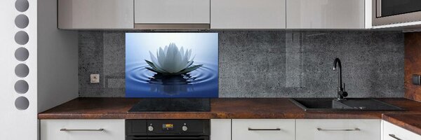Dekorační panel sklo Vodní lilie pksh-107626228