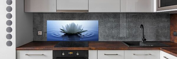 Dekorační panel sklo Vodní lilie pksh-107626228