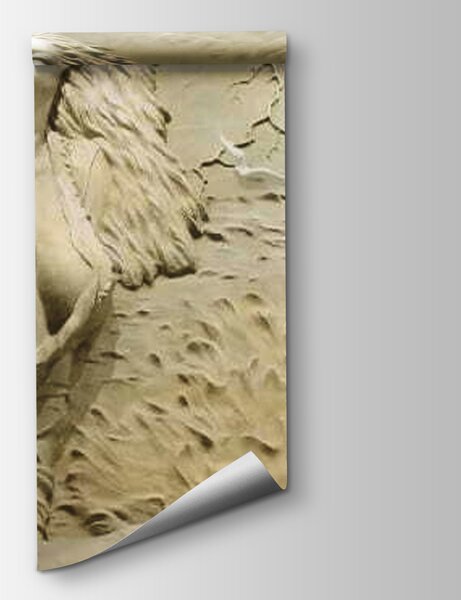 Fototapeta Socha ženy, 3D fototapety, Populární fototapety, u08057 - Tapeko.co.cz