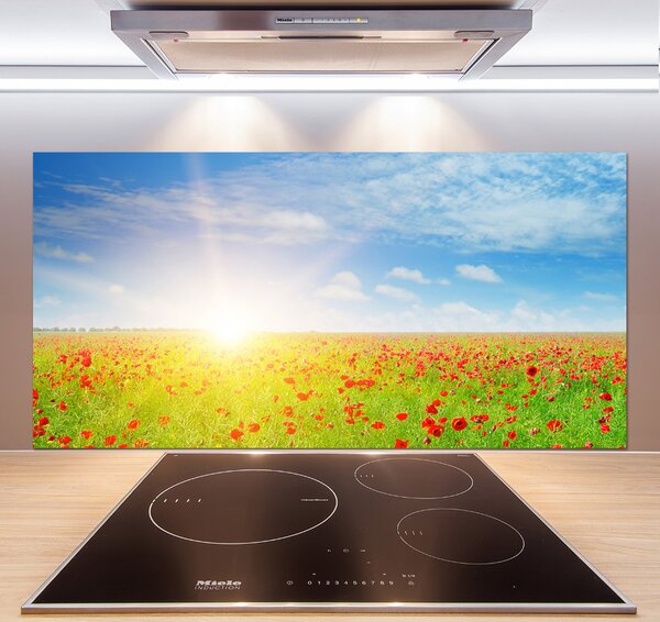 Dekorační panel sklo Pole máků pksh-107946485