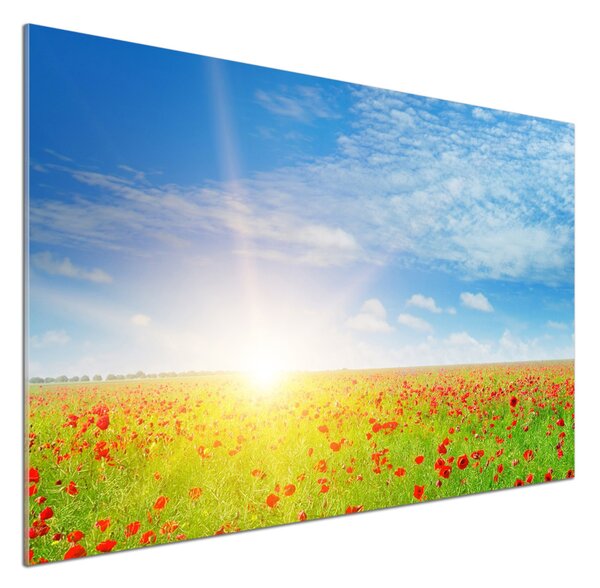 Dekorační panel sklo Pole máků pksh-107946485