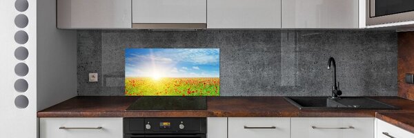 Dekorační panel sklo Pole máků pksh-107946485