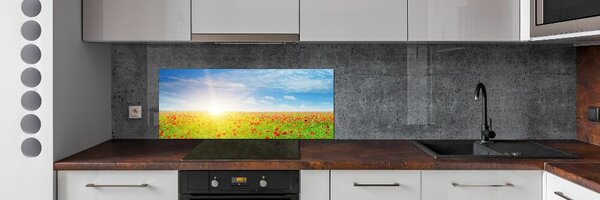 Dekorační panel sklo Pole máků pksh-107946485