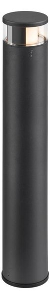 LA 1006381 M-POL 90 Pole Poller, antracit, 83,4 cm - BIG WHITE (SLV)