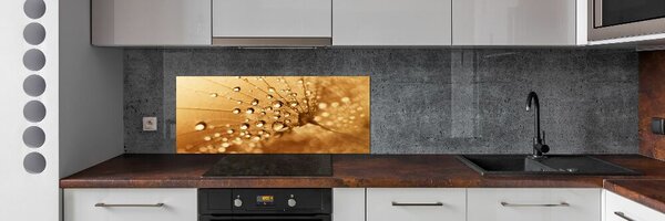 Dekorační panel sklo Pampeliška pksh-108043711