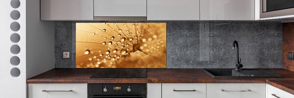 Dekorační panel sklo Pampeliška pksh-108043711