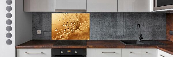 Dekorační panel sklo Pampeliška pksh-108043711