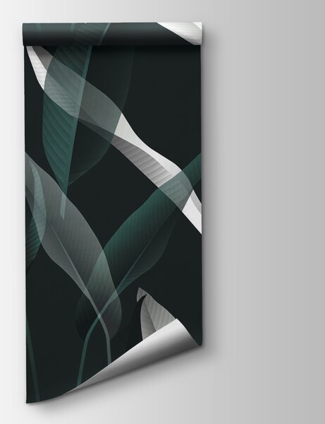 Fototapeta Elegantní listy na tmavém pozadí, Květinové fototapety, Populární fototapety, u10347 - Tapeko.co.cz